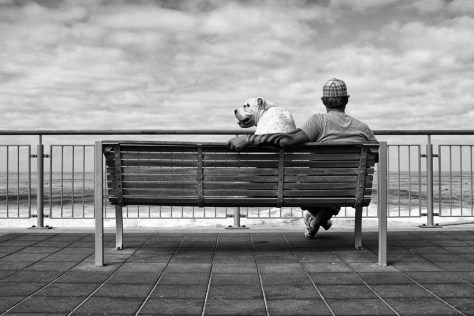 ba0465afe10f34495be5affe5e4d6512-d4xoeh1